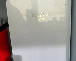Cool/Warm mobile mini fridge 