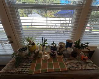 Plants