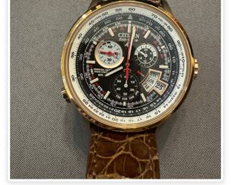 Citizen Watch