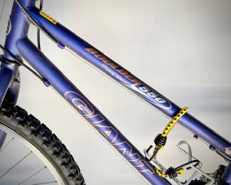 Giant Boulder 550 women's bike bicycle