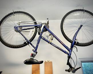 Giant Boulder 550 women's bike bicycle