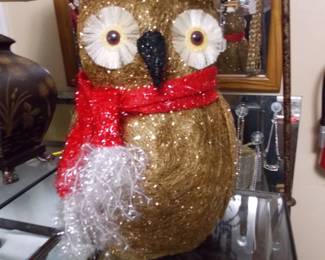 Owl that lights up