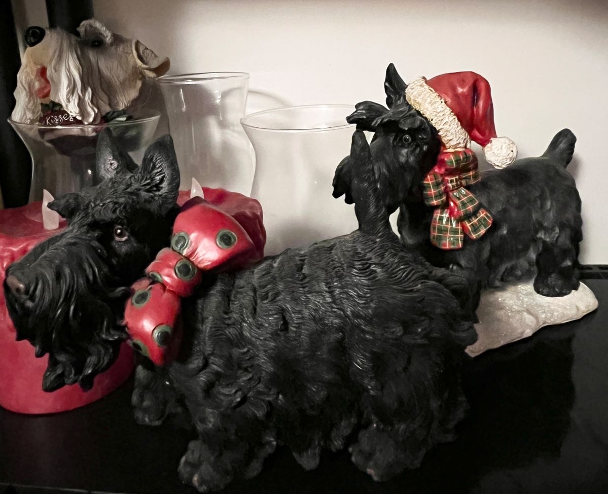 Christmas schnauzers