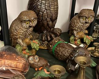 owl collection