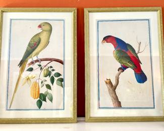 SOLD; Alexandrine parakeet left facing print; 17x24 (left). SOLD Lory left facing print; 17x24 (right)