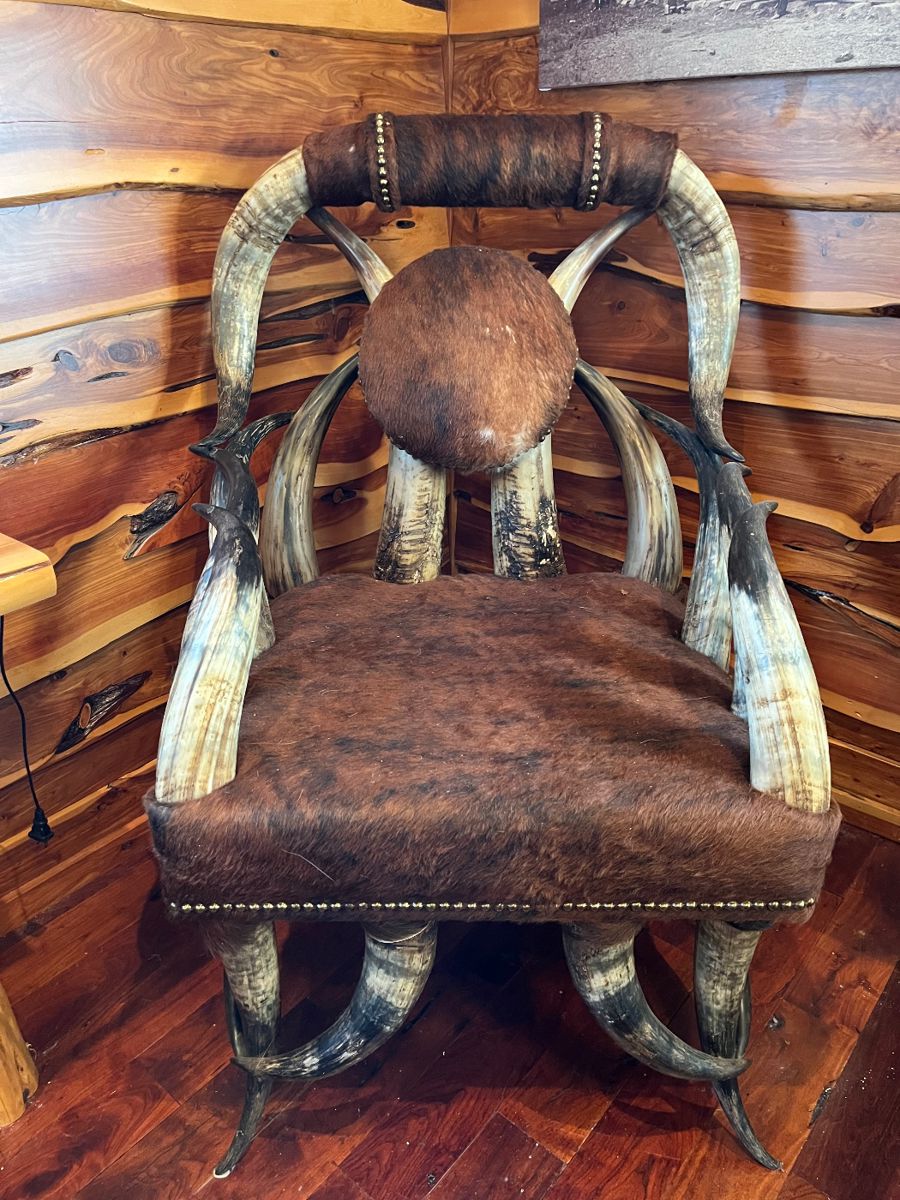 Steer horn chair with cowhide seat
