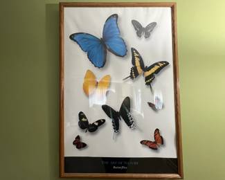 butterfly poster