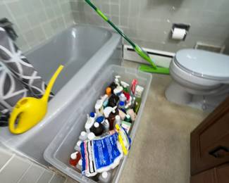 cleaning supplies