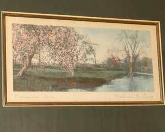 Framed & Signed Artwork