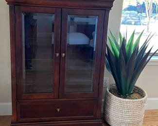 Shenandoah Valley Curio Cabinet, Faux Cactus