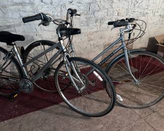 Bianchi, Schwinn Bicycles