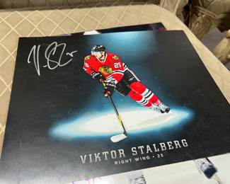 Viktor Stalberg Chicago Blackhawks Autograph