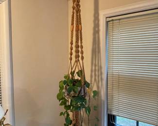 Potted Pothos Plant, Macrame Plant Holder