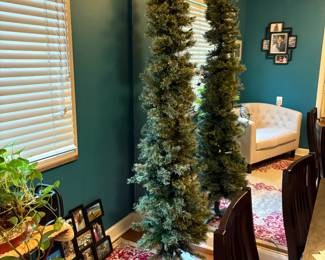 . . . Christmas tree