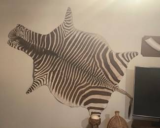 Zebra skin from South Africa, circa 1970's.  $350
