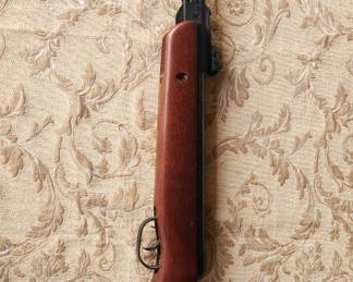 Pellet Gun