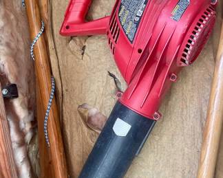Leaf Blower 