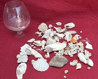 Lot # : 343z - Group of small seashells in bowl
