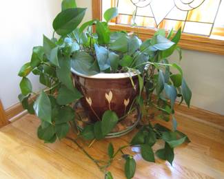 Artisan vase & plant
