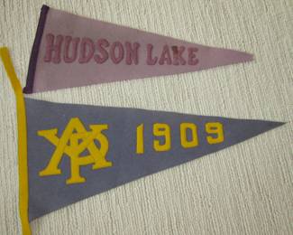 Alaska Yukon Pacific 1909 pennant