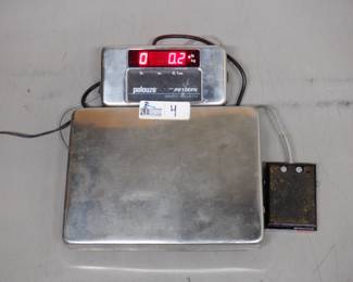 PELOUZE PS10FPX SCALE