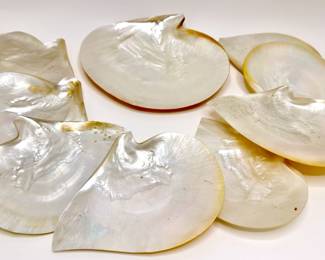 Natural Mother Of Pearl Caviar Or Hors D'oeuvre Serving Plates ( 9 Pieces), Appear Unused
Lot #: 52