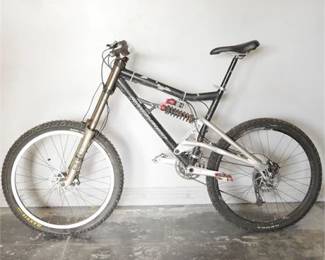 2002 Santa Cruz Bullit Mountain Bike