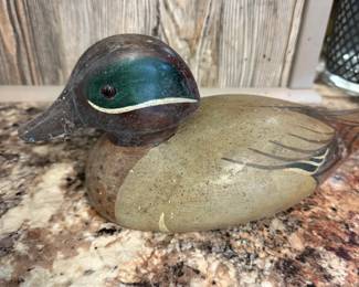 Wood Duck