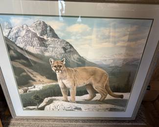 Framed Mountain Lion Print
