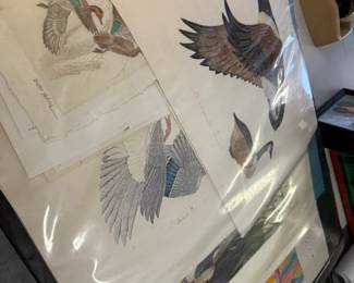 Hundreds of Prints, cannot photo all of them