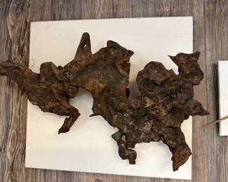 Mounted Driftwood