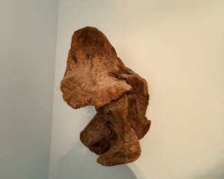 Driftwood