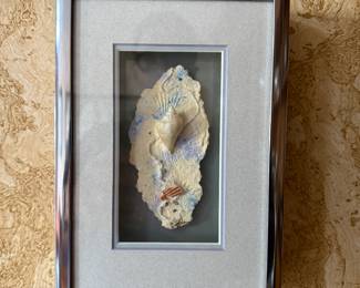 Framed Seashells