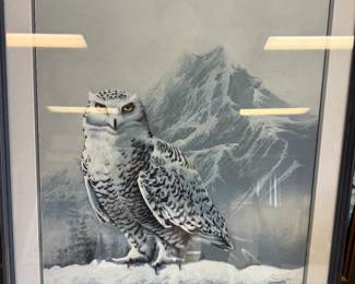 Framed Owl Print