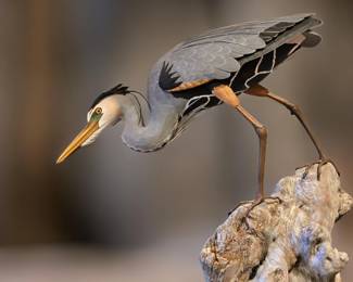 DEL SMITH Blue Heron 1992 $695 or bid #174