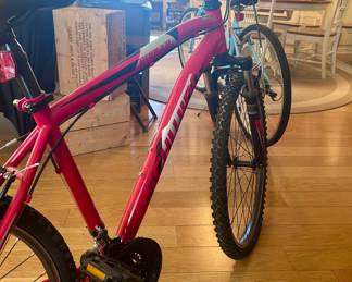 Schwinn red mountain bike