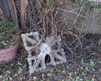 Items Located On The Back Patio