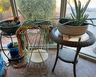 Assorted cacti/succulents, planters + macrame plant hangers