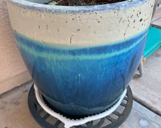 Assorted plants in ceramic pots