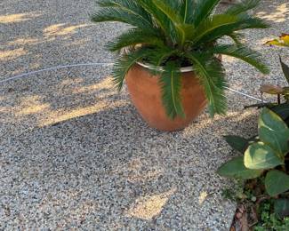 WE HAVE A GREAT MANY VERY NICE PLANTERS.