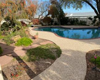 PICS OF THE POOL AREA WITH LOTS OF PLANTERS AND MORE