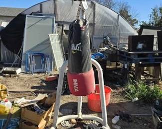 2037 Everlast Punching Bag on Century Stand