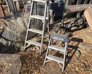 2010 2 Ladders