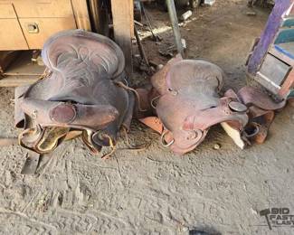 2064 2 Saddles