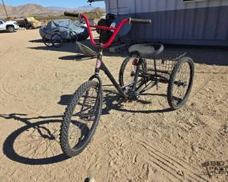 24  Fit Bike Tricycle