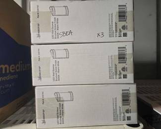 8168  NEW 3 LED Wall Sconce