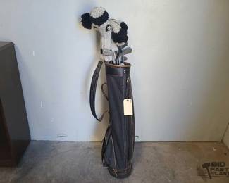 2500  Golf Clubs with MacGregor Bag