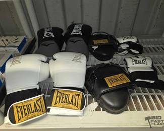7230  Everlast Boxing Gloves, Hand Pads  Fight