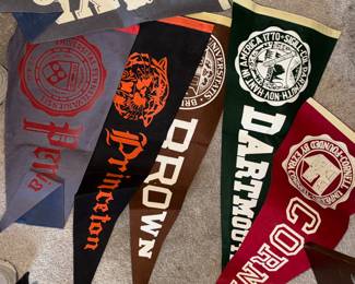 Brown, Dartmouth, Yale, Princeton Cornell oh my