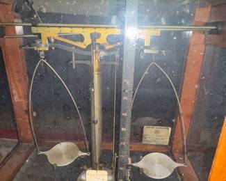 Fisher Scientific Scale